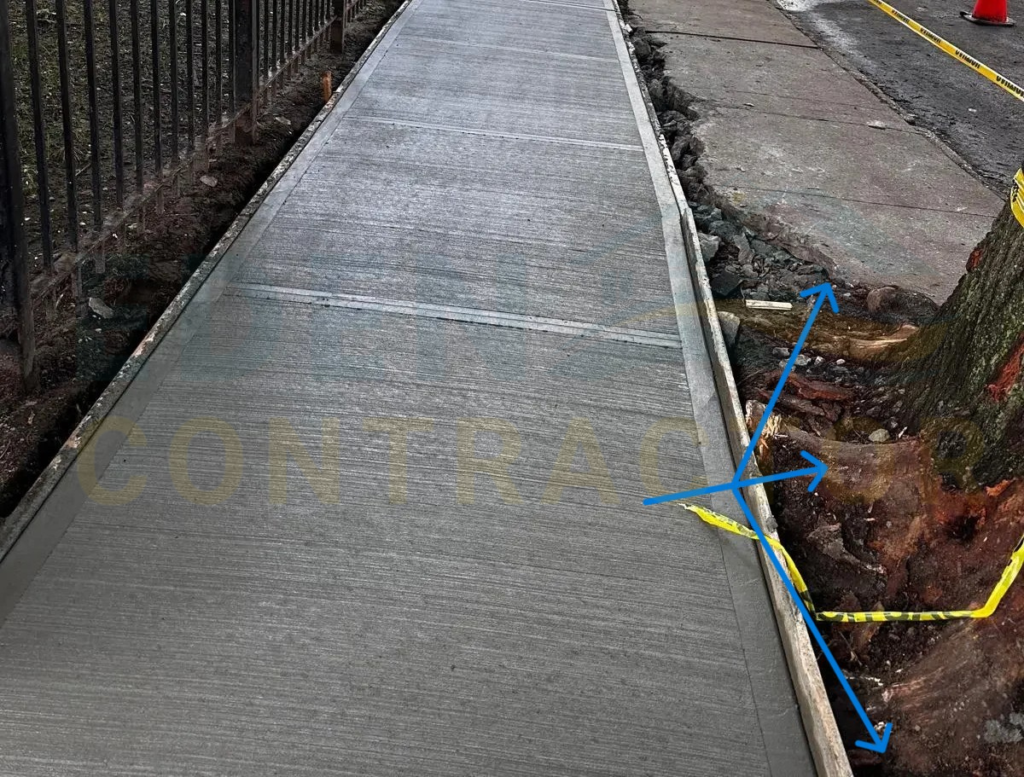 tree root damaged sidewalk repair